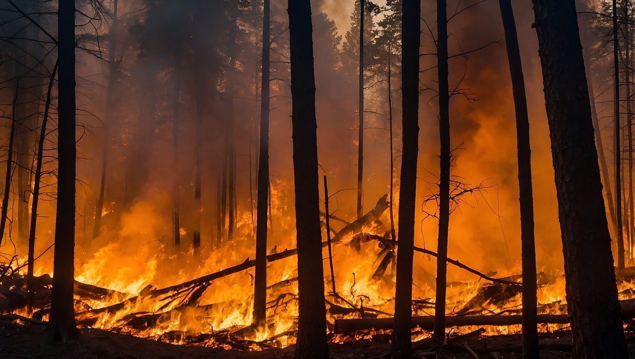 Comunita’ montana del Fortore e servizio Aib, bilancio incendi estate 2024