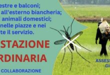 Stasera dalle 23:00 disinfestazione straordinaria antizanzare a San Giorgio del Sannio