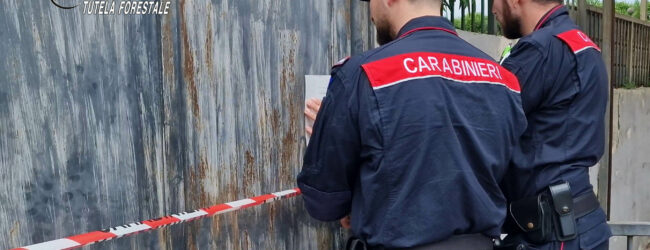 Marzano di Nola: gestione e combustione illecita di rifiuti: i Carabinieri denunciano un 54enne   