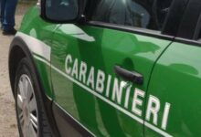 Calitri: scarico illecito di acque reflue: i Carabinieri denunciano un imprenditore