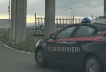 Controlli a tappeto nella Valle Ufita: i Carabinieri scoprono una piccola piantagione di canapa e sventano furti agli stabilimenti industriali