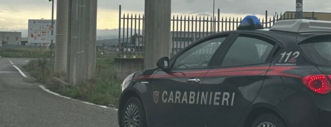 Controlli a tappeto nella Valle Ufita: i Carabinieri scoprono una piccola piantagione di canapa e sventano furti agli stabilimenti industriali