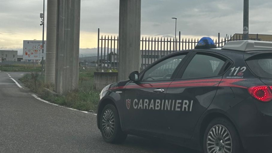 Controlli a tappeto nella Valle Ufita: i Carabinieri scoprono una piccola piantagione di canapa e sventano furti agli stabilimenti industriali