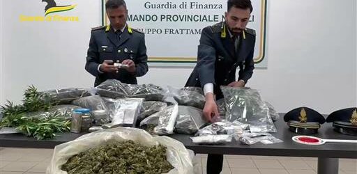 Sequestro di marijuana da 550mila euro: piantagione scoperta nel Sannio