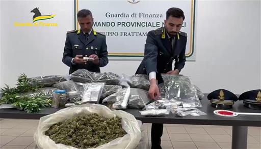 Sequestro di marijuana da 550mila euro: piantagione scoperta nel Sannio