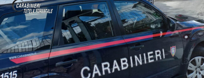 Denunciato imprenditore per violazioni ambientali a Solofra