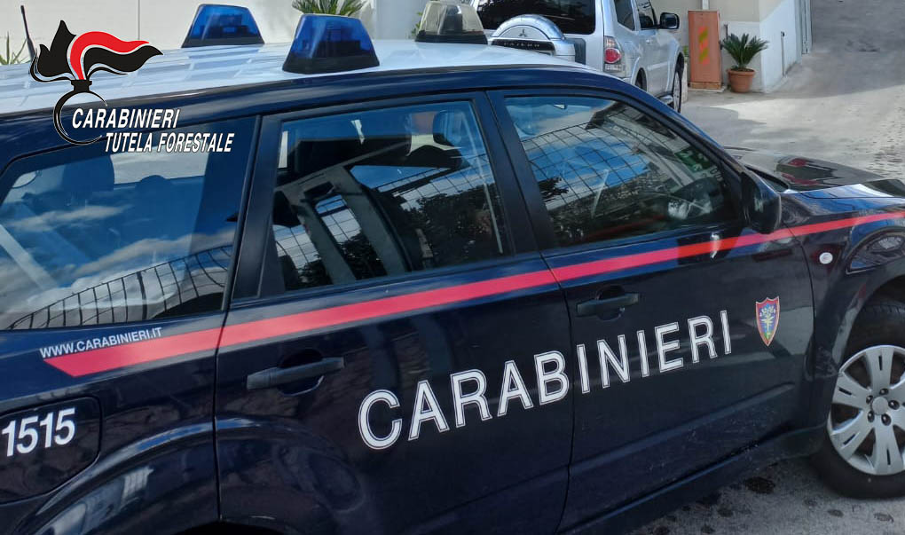 Denunciato imprenditore per violazioni ambientali a Solofra