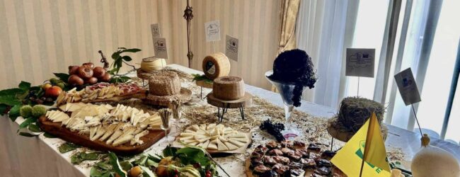 I Sapori d’Irpinia protagonisti al G7 Interni di Mirabella Eclano con Coldiretti Avellino