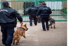 Polizia Penitenziaria Benevento, operazione “Niklause Laser Pointer” Sequestro droga e smartphone