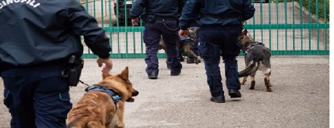 Polizia Penitenziaria Benevento, operazione “Niklause Laser Pointer” Sequestro droga e smartphone