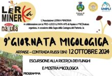 Ad Arpaise l’associazione Lerka Minerka organizza la 9^ Giornata Micologica con escursione