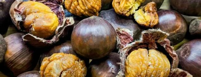 Da 300 anni le rinomate Castagne ”Del Prete” si producono anche nel piccolo borgo di Terranova di Arpaise