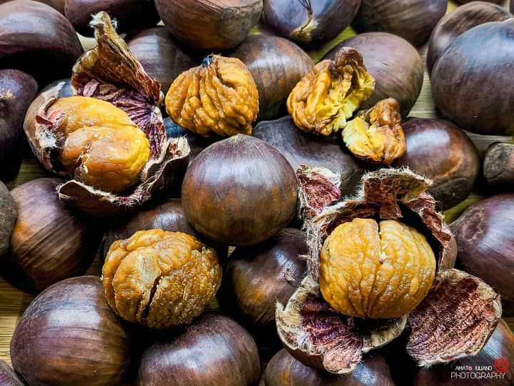 Da 300 anni le rinomate Castagne ”Del Prete” si producono anche nel piccolo borgo di Terranova di Arpaise