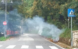 Taglio illegale di alberi sui monti Picentini e abbruciamenti: l’associazione ASA denuncia il silenzio delle istituzioni