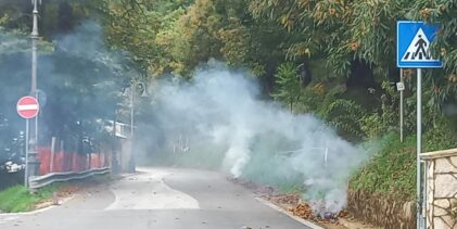 Taglio illegale di alberi sui monti Picentini e abbruciamenti: l’associazione ASA denuncia il silenzio delle istituzioni