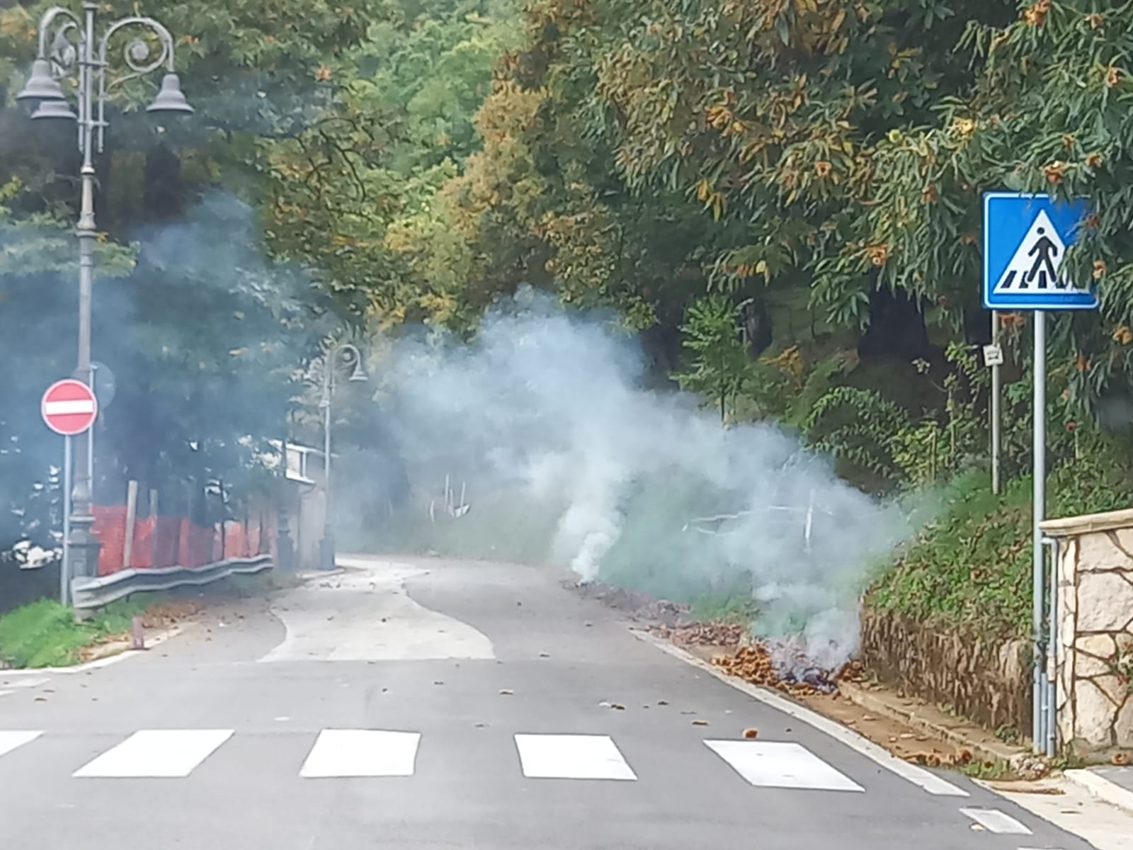 Taglio illegale di alberi sui monti Picentini e abbruciamenti: l’associazione ASA denuncia il silenzio delle istituzioni