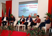 Festival del Pomodoro,un ponte tra minori stranieri e il territorio ospitante