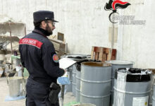 Alta Irpinia,i Carabinieri Forestali sequestrano opificio