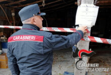 I Carabinieri forestali sequestrano un opificio e chiudono officina abusiva