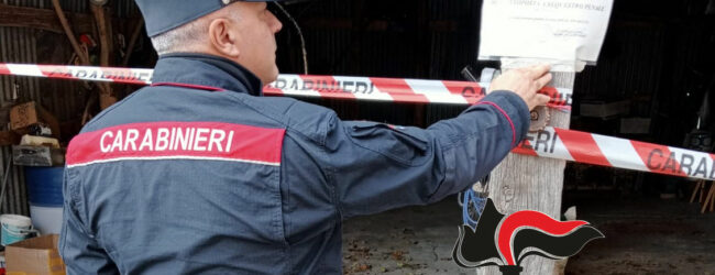 I Carabinieri forestali sequestrano un opificio e chiudono officina abusiva