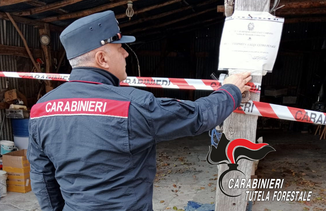 I Carabinieri forestali sequestrano un opificio e chiudono officina abusiva