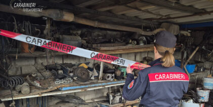 Avella, i Carabinieri Forestali sequestrano attivita’ commerciale