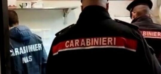 I Carabinieri ispezionano e controllano un salumificio, sanzioni e denunce