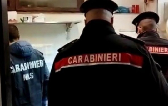 I Carabinieri ispezionano e controllano un salumificio, sanzioni e denunce