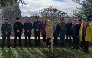 Greci: i piccoli alunni dell’Istituto “Don Milani” insieme ai Carabinieri, celebrano la “Giornata Nazionale degli Alberi”