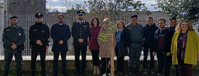 Greci: i piccoli alunni dell’Istituto “Don Milani” insieme ai Carabinieri, celebrano la “Giornata Nazionale degli Alberi”