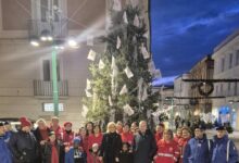 La Comunità montana del Fortore dona albero di Natale alla Croce Rossa