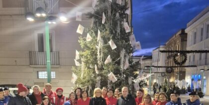 La Comunità montana del Fortore dona albero di Natale alla Croce Rossa