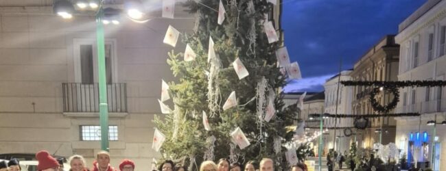 La Comunità montana del Fortore dona albero di Natale alla Croce Rossa