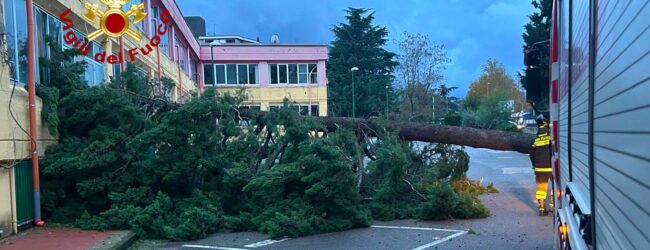 Meteo in Irpinia 2| Domani chiusi gli istituti Dorso e Ronga, 50 interventi dei pompieri sul territorio