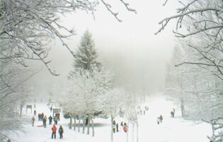 Prime nevicate in Irpinia: Laceno imbiancato