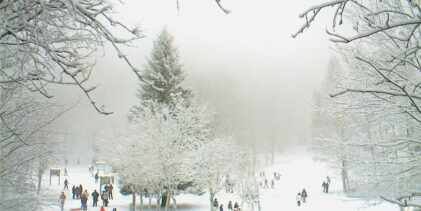 Prime nevicate in Irpinia: Laceno imbiancato