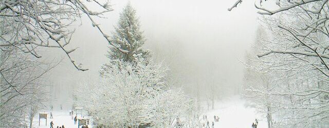 Prime nevicate in Irpinia: Laceno imbiancato