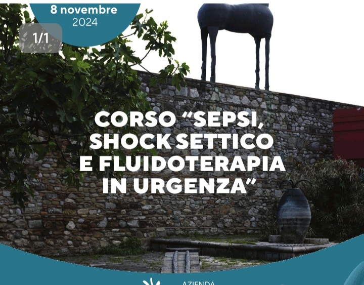 All’ospedale San Pio il corso di formazione su sepsi e shock settico