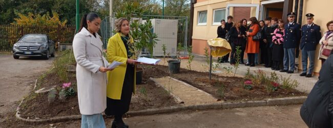 Una Magnolia in Memoria di Maria Letizia Micco: un Impegno per la Sicurezza Stradale