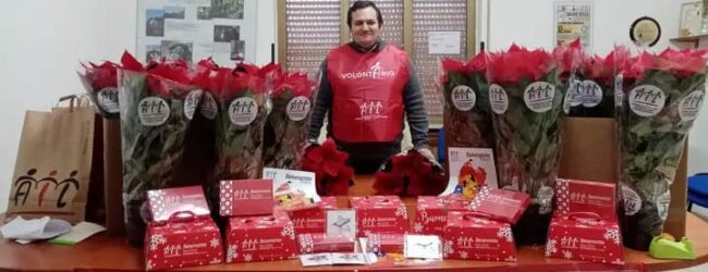 La Pro Loco Generoso Papa di Arpaise a sostegno dell’AIL Benevento: aperte le prenotazioni per la Raccolta Fondi intitolata “Stelle di Natale”