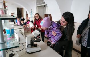 Scuole primarie della Valle vitulanese in visita al laboratorio didattico dell’olio extra vergine di oliva