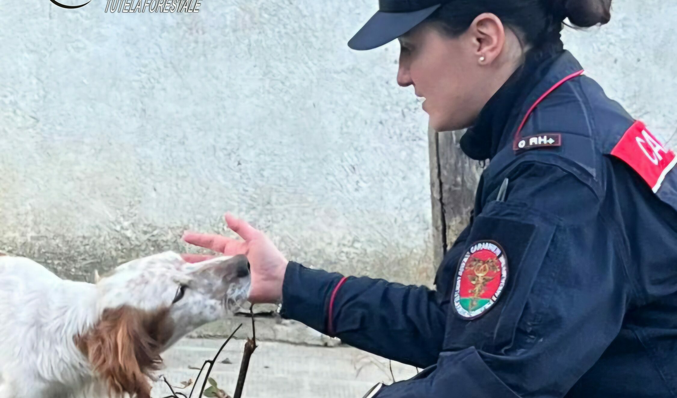 Aquilonia, i Carabinieri forestali soccorrono un cane in evidente stato di abbandono