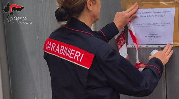 Lauro: i Carabinieri Forestali sequestrano autofficina,un denunciato