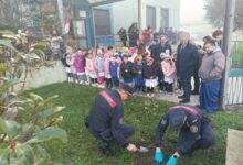 Giornata dell’Albero alla Scuola primaria di Beltiglio, Cataudo: “Momento di speranza e responsabilità verso l’ambiente