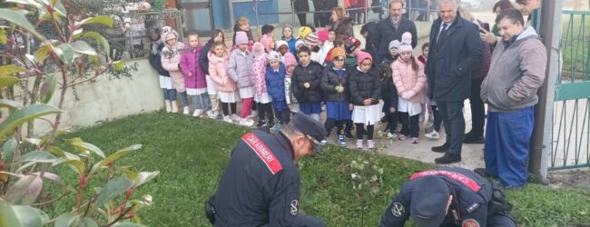 Giornata dell’Albero alla Scuola primaria di Beltiglio, Cataudo: “Momento di speranza e responsabilità verso l’ambiente