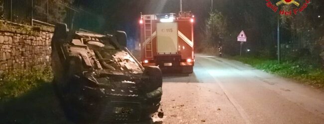 Auto contro un cinghiale, ferita donna di 45 anni