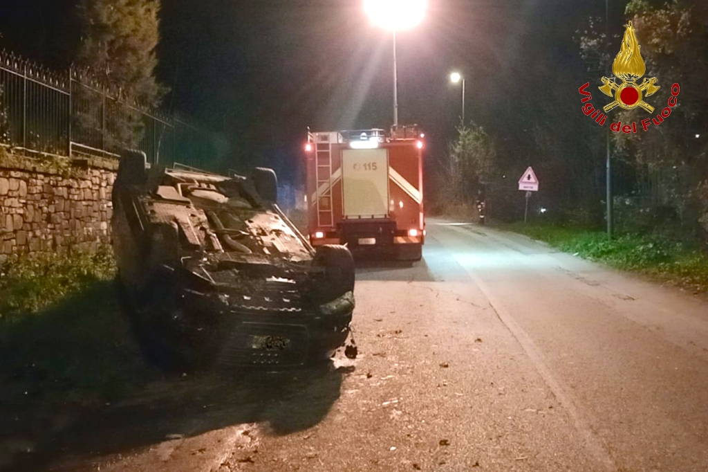 Auto contro un cinghiale, ferita donna di 45 anni