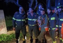 Vigili del Fuoco salvano cagnolino a Sant’Angelo a Cupolo