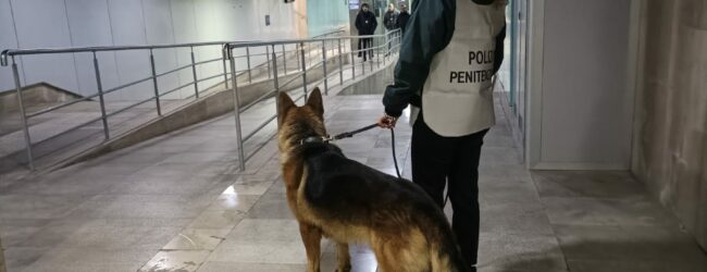 Nuovi Controlli Cinofili Antidroga allo Scalo Ferroviario di Benevento in un’operazione congiunta tra Polizia di Stato e Polizia Penitenziaria