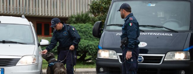 Servizio Cinofili Antidroga della Polizia Penitenziaria della Campania, bilancio positivo per il 2024